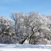 зима :: Владимир Холодницкий