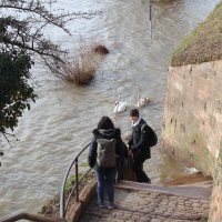 наводнение на Неккаре, февраль 2021 :: Lüdmila Bosova (infra-sound)
