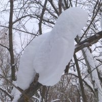 Лесное снежное чудо :: Raduzka (Надежда Веркина)