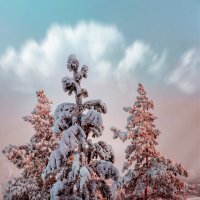Деревья в снегу утопают. :: alex graf