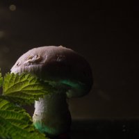 огромный гриб... :: Helga Sergeenko