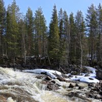 Колвицкие водопады :: Ольга 