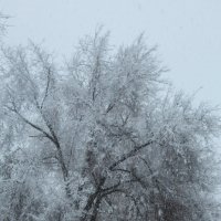 Снежное настроение :: Любовь Зайцева