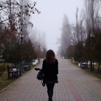 Идущая в туман :: Vlad Proshin 