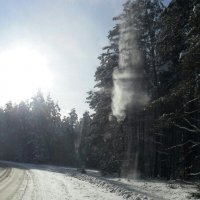 Зимний лес :: Виктор  /  Victor Соболенко  /  Sobolenko