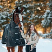 Зимним солнечным днем в компании лошади :: Ольга Семина