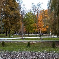 Осень в Гагаринском  парке :: Валентин Семчишин