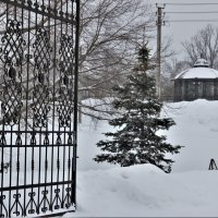 В парке. :: Венера Чуйкова