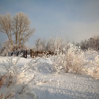 Разгулялась  зима за околицей. :: Татьяна Попова