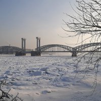 Финляндский железнодорожный мост :: Елена Павлова (Смолова)