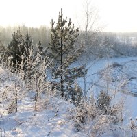 Солнечный зимний день :: tamara kremleva