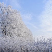 Мороз в хрустальные наряды одел природу всю вокруг... :: Анатолий Клепешнёв