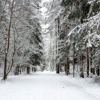 Таким был январь на Смоленщине. :: Милешкин Владимир Алексеевич 