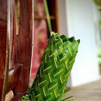 Короб из листьев пальмы :: Наташа Королева