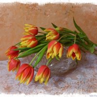 Тюльпаны :: Nina Yudicheva