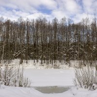 На берегу озера :: оксана 