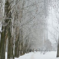 По дорожке прямо к дому :: Raduzka (Надежда Веркина)