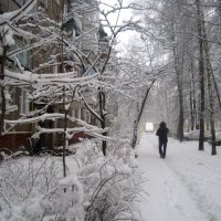 Однажды зимним днем :: Елена Семигина