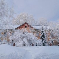Зимний этюд :: Виктор Четошников