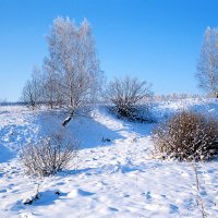Морозный день в январе :: Сергей Курников