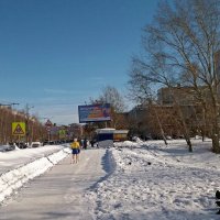 Мороз и снег не помеха для настоящего спортсмена :: Galina Solovova