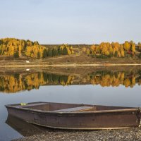 Из золотой осени... :: Алексей Сметкин