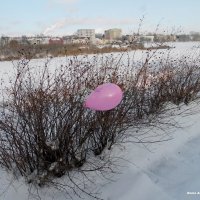 Одинокий шарик ! :: Андрей Буховецкий