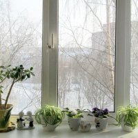 За окном февраль :: Ольга Елисеева