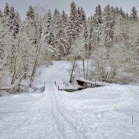 снежная зима :: Валентина. .