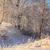 После снегопада :: владимир тимошенко 
