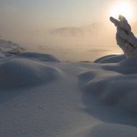 В вечернем свете. :: Марина Фомина.