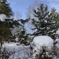 Зима заснежила деревья :: Oleg4618 Шутченко