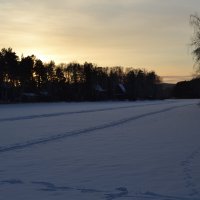 Карагайский бор: там, где дали голубые :: Владимир Рыбак