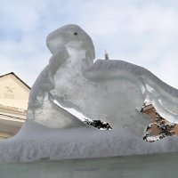 О птицах ледяных... :: Андрей Заломленков