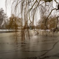 Утиными тропками :: Николай Гирш