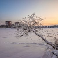 Мороз крепчает... :: Михаил "Skipper"