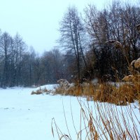 Февраль :: Анцупов Сергей 