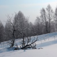 синь февраля :: Евгений Тарасов 