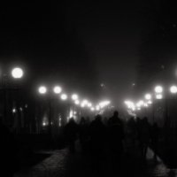 Ведущие в туман :: Андрий Майковский