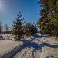 Снежный и морозный февраль # 5 :: Андрей Дворников
