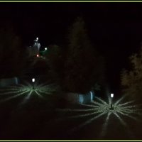 Ночные цветы - фонарики, работающие от солнечных батареек. :: Лариса Масалкова