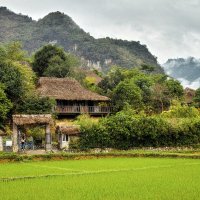Вьетнам, экологическая деревушка :: Валерий Живило