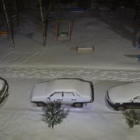 Снегом запорошило... :: Владимир Павлов
