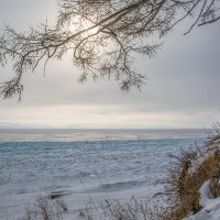 На берегу зимы :: Андрей Шаронов