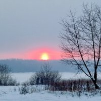 Зимний вечер на Шексне :: Ольга Елисеева