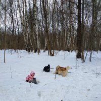 Дети и зверушки провожают зиму 2020/21 :: Андрей Лукьянов