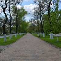 Новочеркасск. Аллея проспекта Ермака весной. :: Пётр Чернега