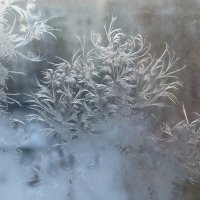 За окном-метель, на окне-мороз :: Raduzka (Надежда Веркина)
