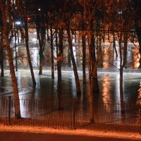Огни ночного парка *** Night park lights :: Aleksandr Borisov