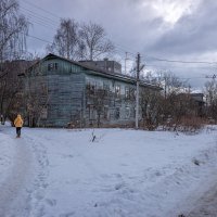 Перезимовал... :: Михаил "Skipper"